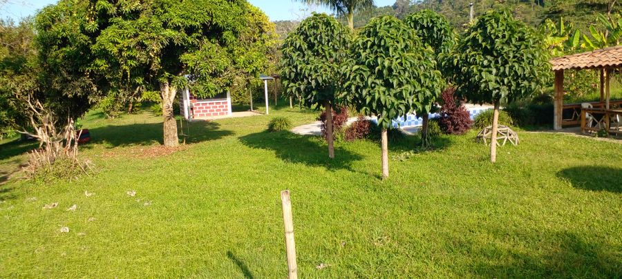 Finca las margaritas  5