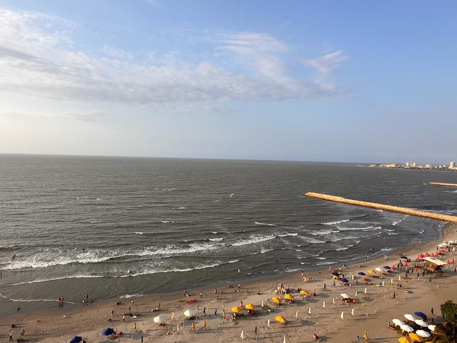 Hermoso Apt 1 habitación Palmetto Beach 5