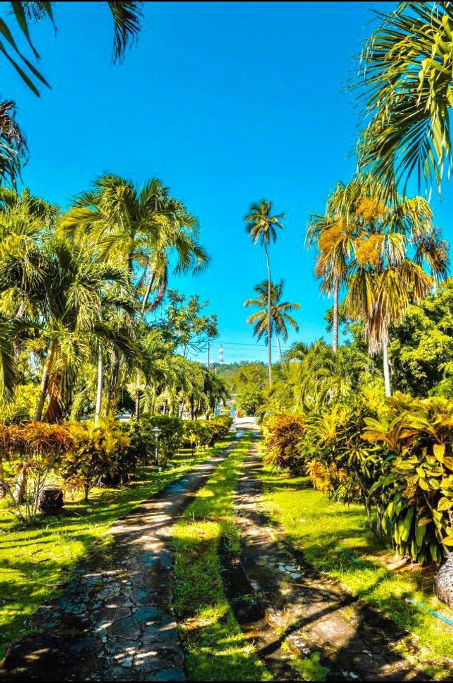 Hermosa Finca con Piscina Salida al Mar 4