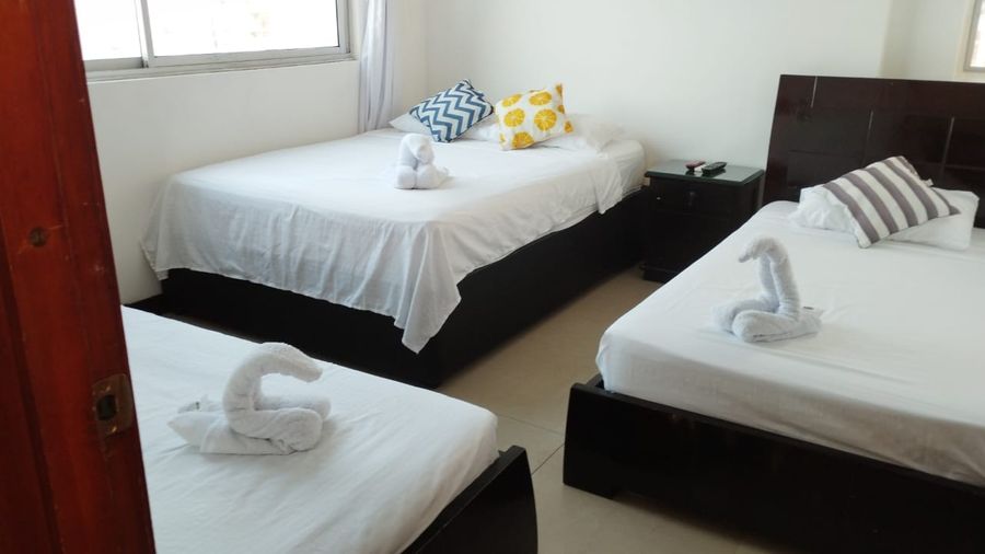 Apartamento 2 habitaciones Palmetto  3