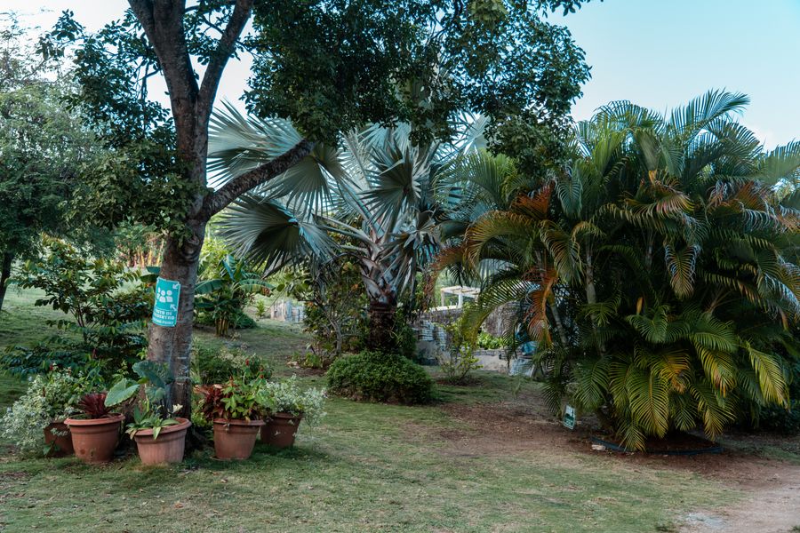 Star Apple Inn Cabin