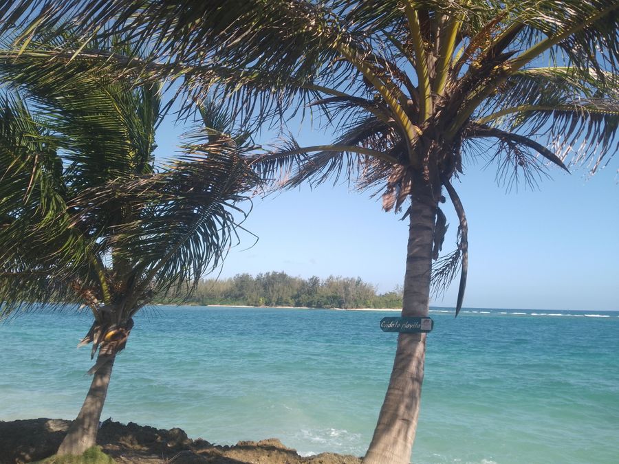 Apartamento azul vista al mar. 3