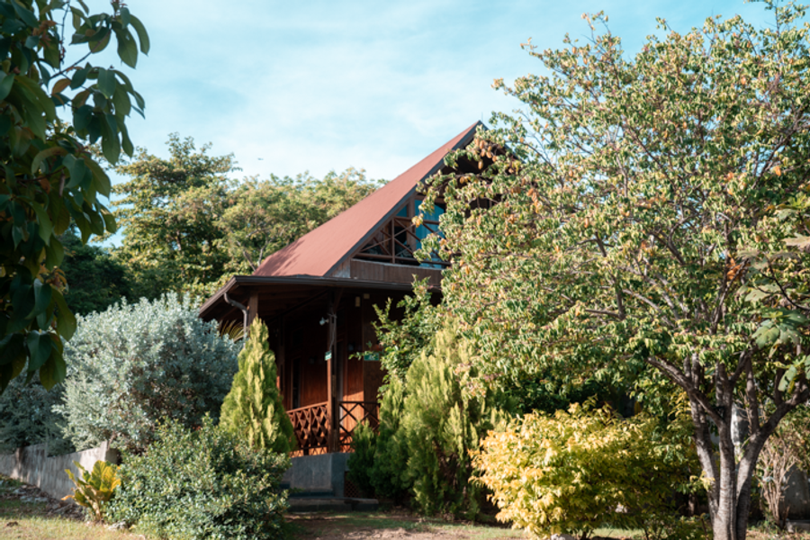 Star Apple Inn House 2