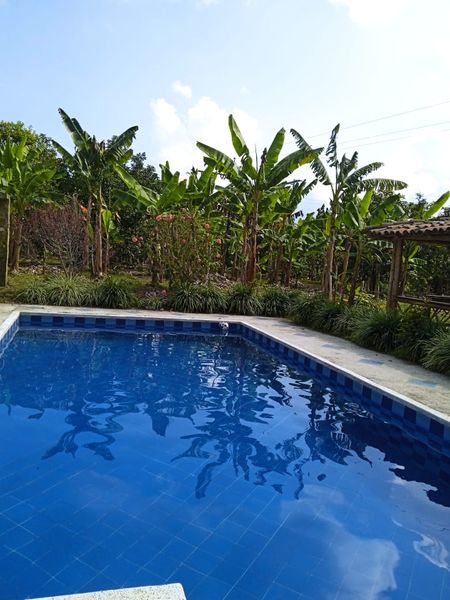 Finca las margaritas 