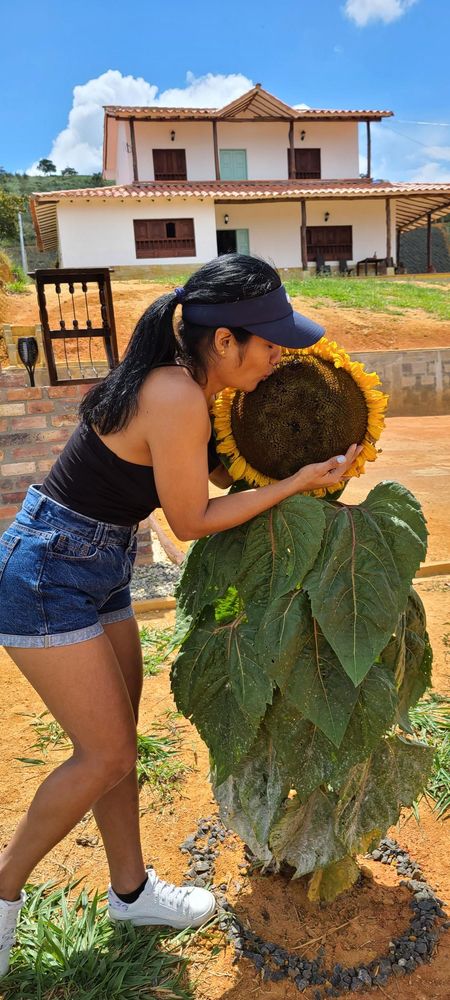 Habitaciones Nativos House